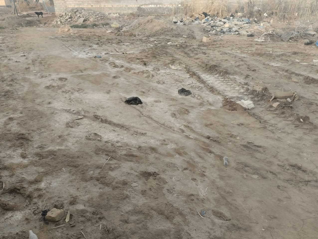 السلام عليكم للبيع 5 قطع مساحت القطعه 200 متر سعر القطعه 6 ملاين المكان حي منصور ع خلف بيت الحاج علي رحيمه مسيجات بيئارسي *********** بي واتساب
