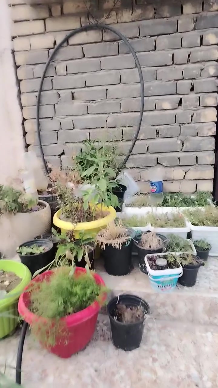 السلام عليكم ورحمة الله بيت للايجار مساحه ٦٠ متر بناء حديث خلف جامع عمار بن ياسر يحتوي على ٣ غرف نوم للاستفسار الاتصال على الرقم ***********
