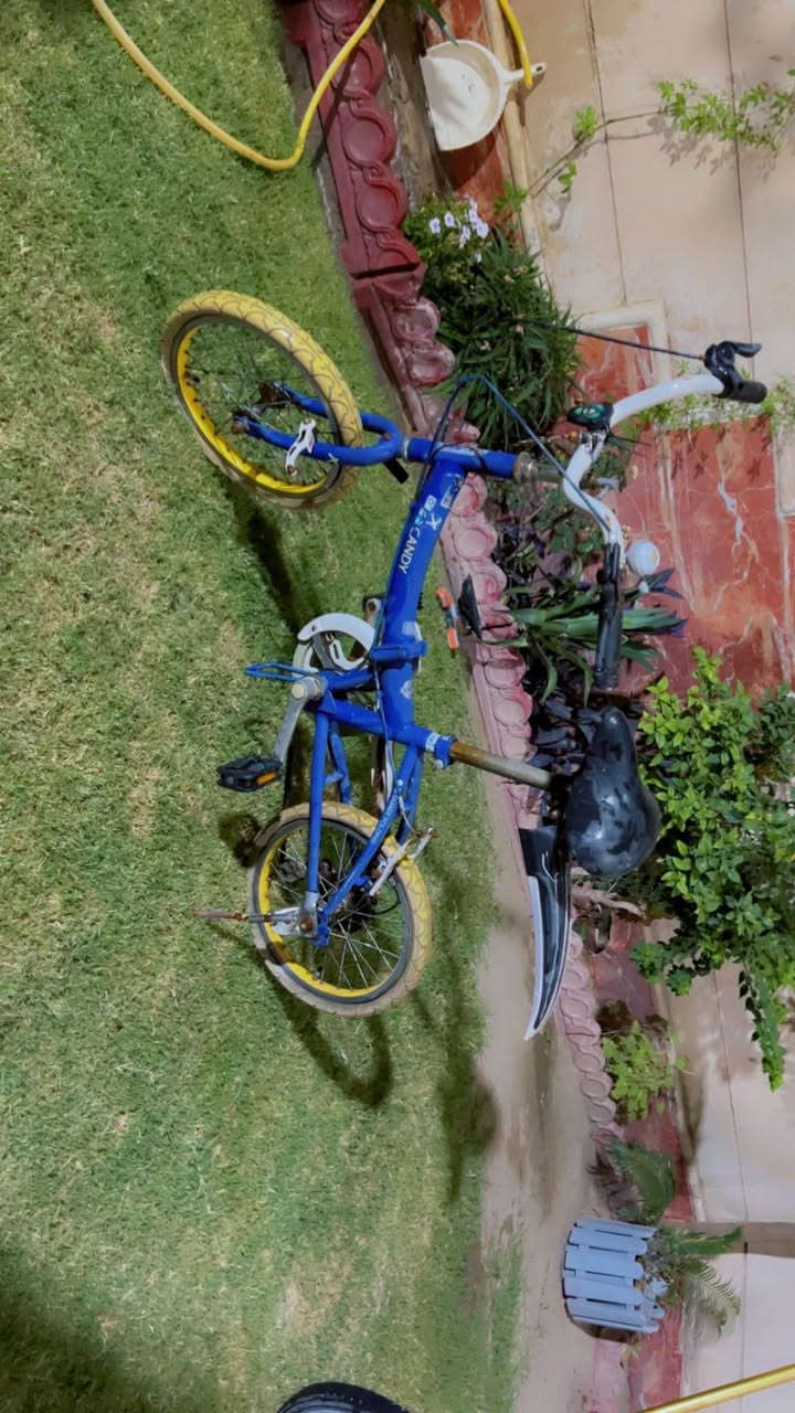 بايسكل ياباني اصلي مستعمل قليل سعر الواحد٨٥ بغداد, العراق


**إذا كنت صاحب هذا الإعلان وتريد حذفه لأي سبب، رجاءا أرسل رسالة إلى الدعم الفني**