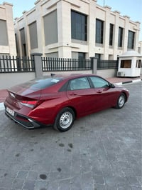 النترا ٢٠٢٤ • كفالة • صور حادث