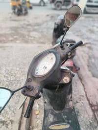 دراجة • بغبغاء • كفالة عامة