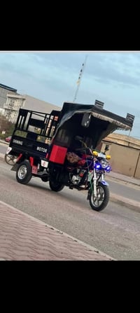 اخوان ستوته للبيع موديل 20فحل عالي قلاب كله شرط من الراس للراس شاصي رك...