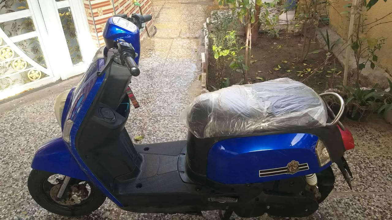 سلام عليكم بوليس نوزل نضيفه نكره سلف 550وبيه مجال مكاني بابل محاويل💗🥇ترهم مراوس


**إذا كنت صاحب هذا الإعلان وتريد حذفه لأي سبب، رجاءا أرسل رسالة إلى الدعم الفني**