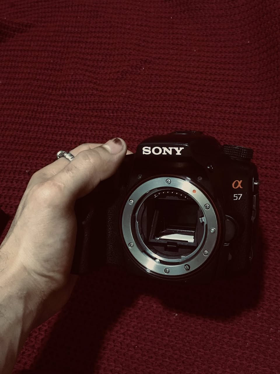 السلام عليكم
📸 Sony Alpha A57 كاميرا للبيع

نظافة 100/100 – استعمال قليل 

- الكل يعرف، مواصفاتها قوية.

تشمل:

عدسة + 2 بطارية + شاحن + رام + شنطة + كيبل نقل صور

الكاميرا اخت الجديدة، صارلي كم شهر من اخذتها.

شترها. 10k 

 رايدها ب  375,000  وبيها مجال قليل للشراي. 

📍 مكاني / البصرة / *********** / للتواصل على الواتساب
