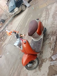 مصرية • فحل • ما مفتوحه