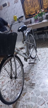 باسكل • للبيع