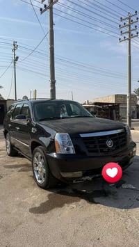 اسكاليد بلاتينيوم • ٦٢٠٠ • البصره