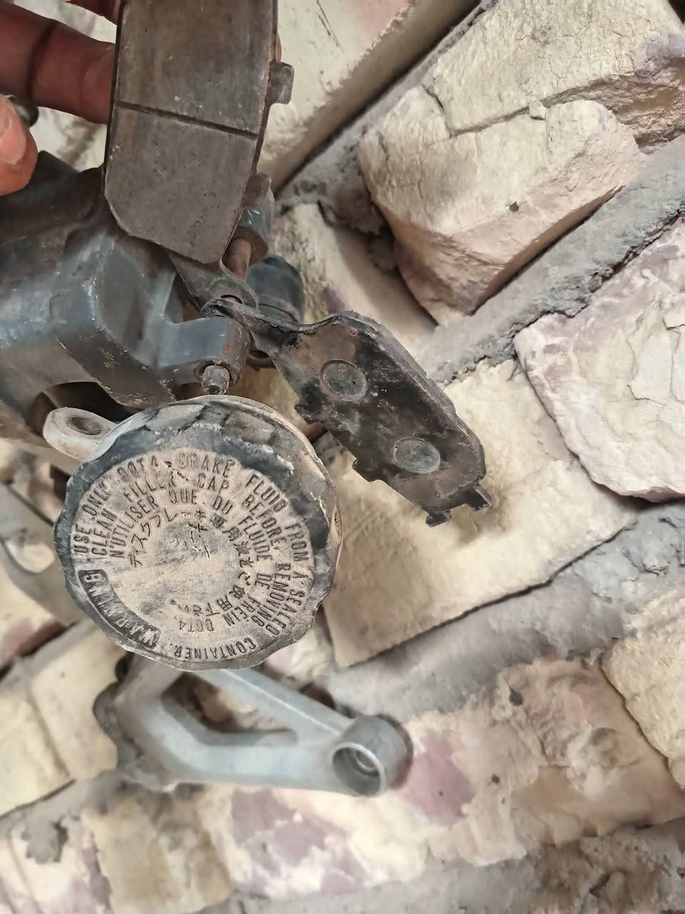 تفصيخ افوراي  شتريد موجود


**إذا كنت صاحب هذا الإعلان وتريد حذفه لأي سبب، رجاءا أرسل رسالة إلى الدعم الفني**