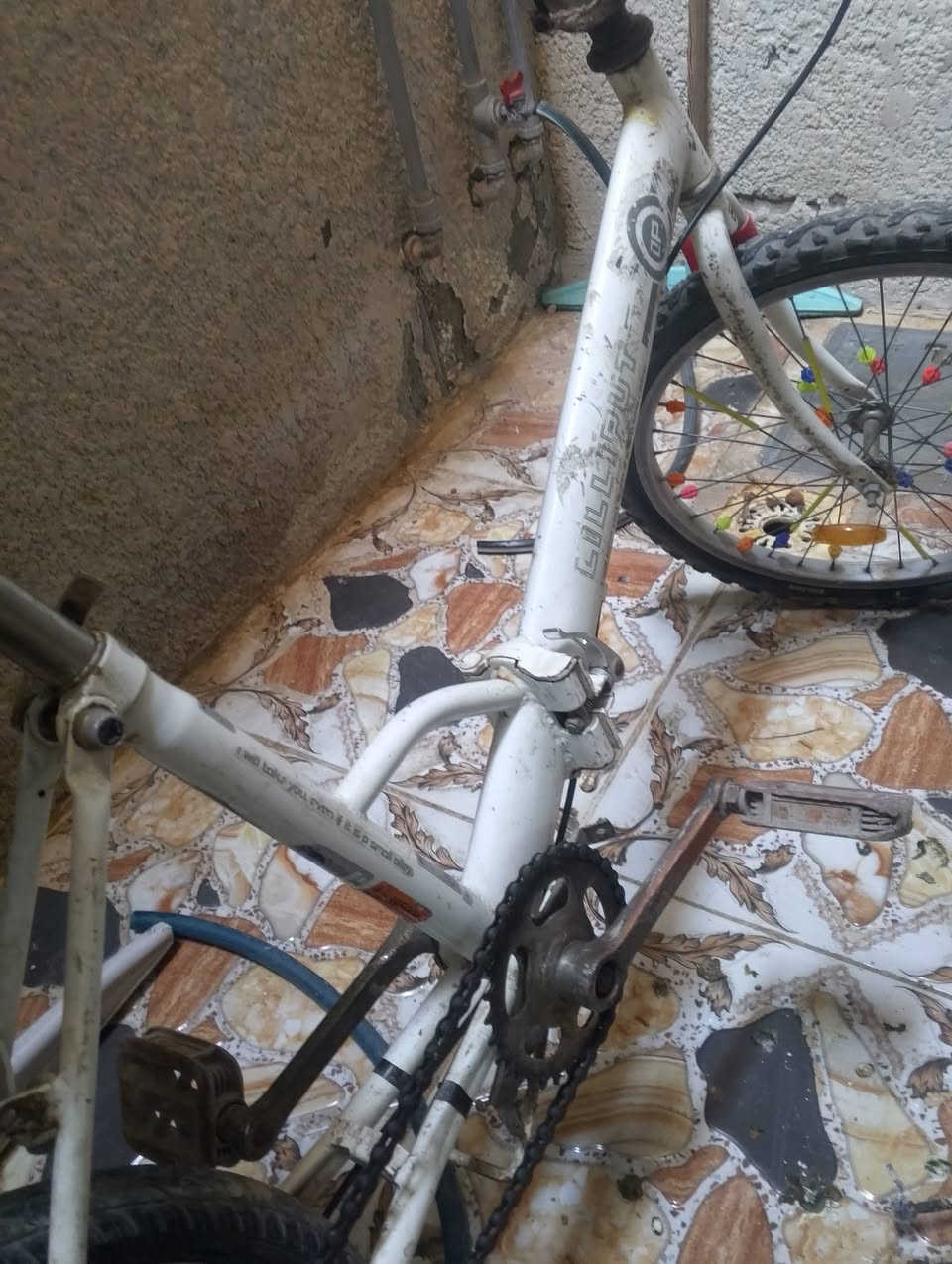 سلام عليكم  باسكل  ابو طبكة حجم 20 باسكل  بس يدة بريك نقص سعر 35 بي مجال  شراي خادم  مكاني بغداد البياع شرطة الخامسة  شراي راسني واتساب ***********
