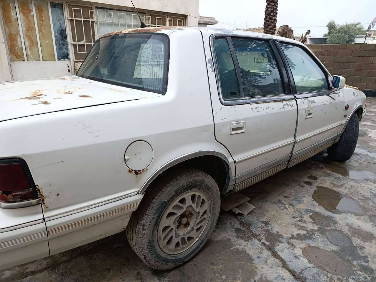 سياره (دوج) موديل 96 رقم ديالى كلشي شغال مابيها نقص العنوان ديالى المقدادية شهربان للستفسار اتصل (***********)
