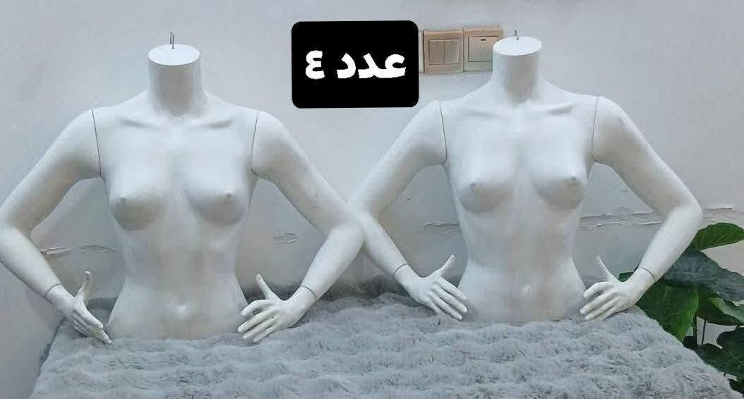 شلعة ملكانات تريد جملة تريد مفرد قطعة ٥ بدون عيوب و نظيفات تتعلك او تنحط ع رف الظهر مالتها كامل مو فارغ نوعية حلوة و اصلية ضد الكسر متوفر توصيل مو شراي لا تراسل ولا تكسر بالاسعار


**إذا كنت صاحب هذا الإعلان وتريد حذفه لأي سبب، رجاءا أرسل رسالة إلى الدعم الفني**