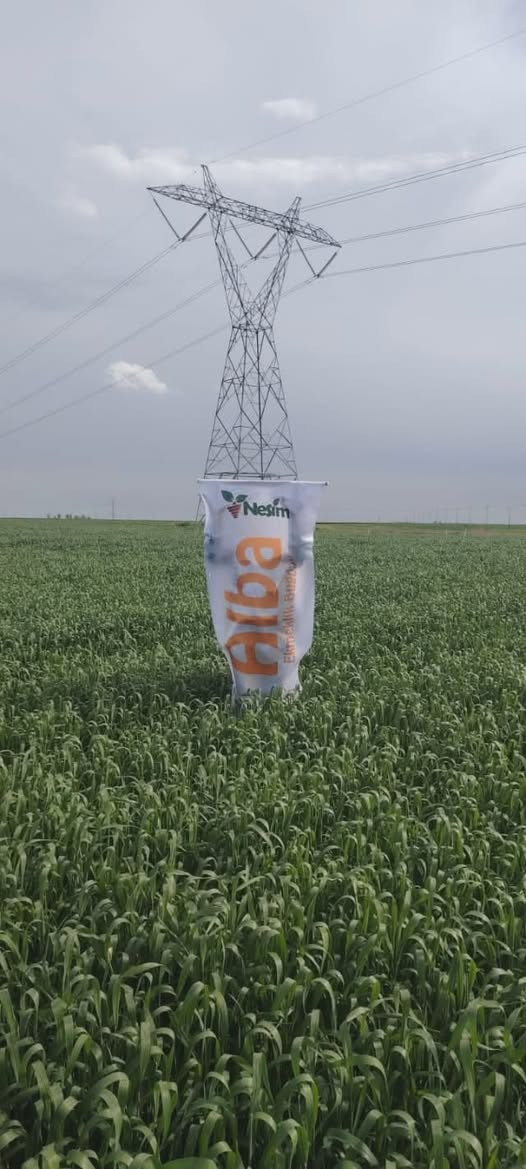 حنطه البا ايطاليه للبيع بنت الجيس شرط النظافه
سعر الطن ٦٠٠ وبي مجال مكاني كركوك قضاء الدبس ***********
