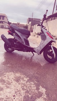 ماكس منغولي • نضيفه • بوشه ٥٥