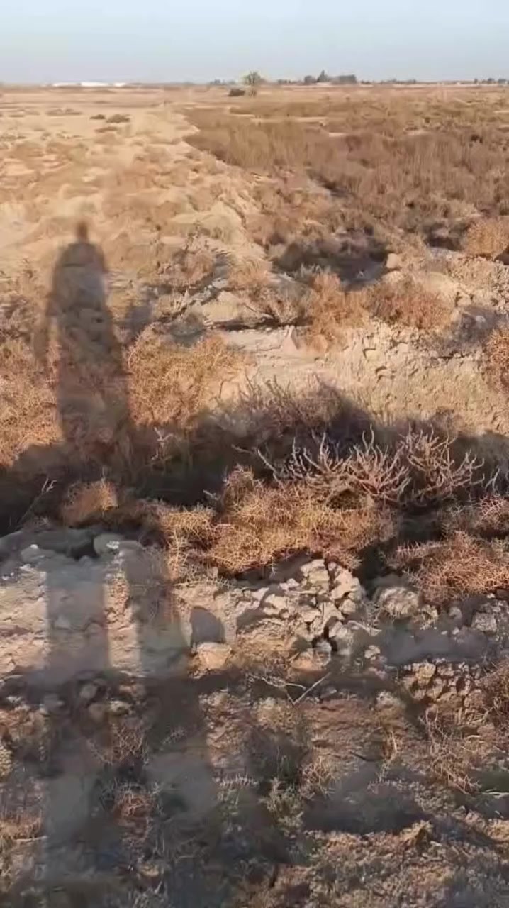 السلام عليكم ارض زراعية طابو سند 25 
المساحه 17 دونم الواجهة 100 والنزال 425
طريق ديوانية حمزه.  الشارع رابط بين السدير وشافعية طريق جديد  يؤدي إلى سيد  مجيد. 
باقي تفاصيل بالفيديو موجوده . 

رقم موبايل
 ***********
***********
