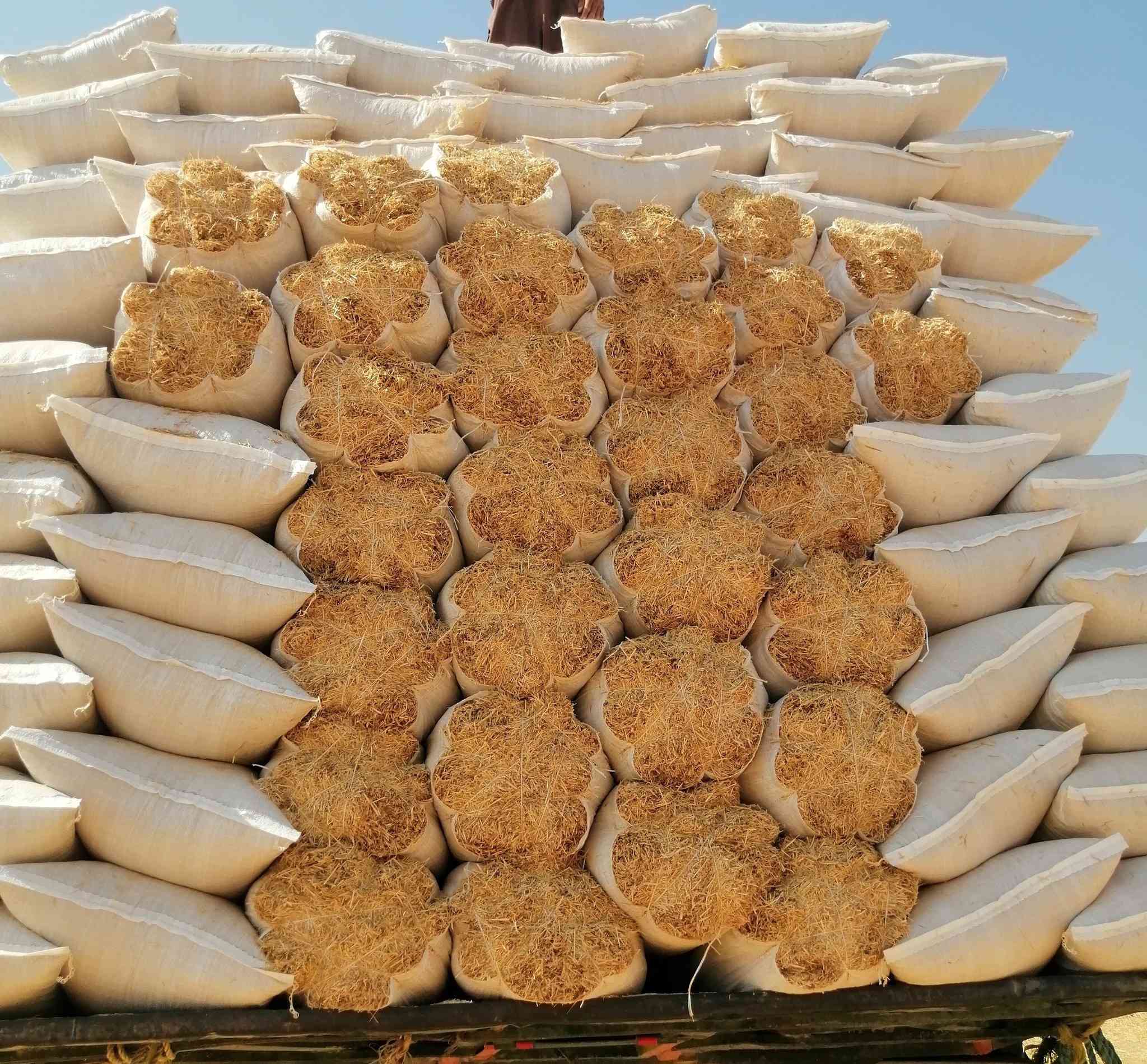 سلام عليكم يوجد تبن حنطه مال السنه شرط ابيض ونضيف حجم الكيس 55 سعر الزوج 3 ويوجد حجم 60 سعر الزوج 4 يوجد توصيل ال كافت جنوب الموصل من حمام العليل ال شركاط واستفسار ***********
