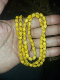 سبحه كهرب • بولوني مغلف • ١٠١