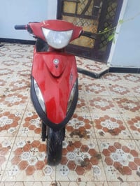 ماكس • كفالة • تقاطع القدس