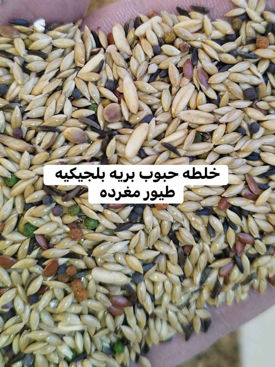 ‏ معرض السومري 
‏عنوان الناصرية قضاء الرفاعي حي العمال شارع الجوازات يوجد خدمة توصيل للطلب والاستفسار مراسلة الصفحة أو الاتصال عبر الهاتف ￼***********
