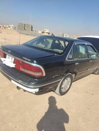 برنس ٩٥ • زيتوني • رقم بغداد