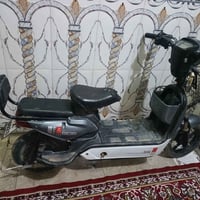 دراجة شحن • استعمال شهرين • الحلة الثورة