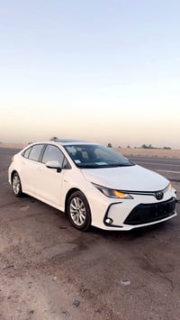 كورلا هايبرد • ٢٠٢٥ • ابي الخصيب