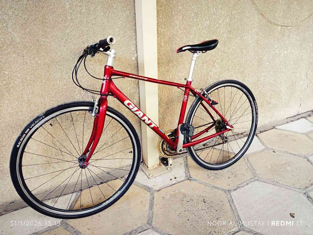 السلام عليكم
جاينت سكيب حديث و نضيف 

فول المنيوم ما نقصة اي شي 

.حجم الفريم S 

.حجم التاير 28 

اللون دم الغزال ❤️

.تايرات اصلية و جوابة كذالك 

السعر 150 و بي مجال بسيط 

مكاني بغداد العامرية ما عندي توصيل 

.للتواصل واتساب او تلفون 

***********
