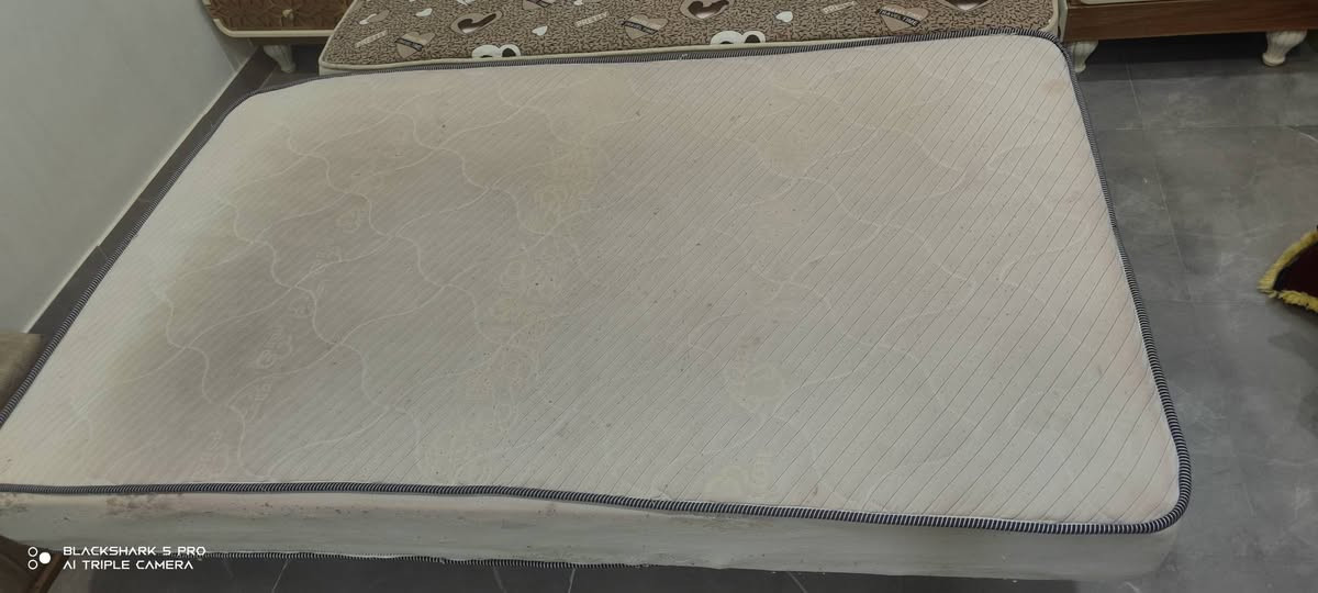 دواشك للبيع
دوشك ابونفر  ( الجوزي) بسعر 30
ودوشك ابو نفر ونص ( الابيض) بسعر 50

العنوان الرفاعي كاع شياع
التواصل :   ***********
