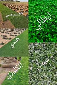 ثيل طبيعي للبيع مع خدمه التوصيل 07723695433///07801805526
