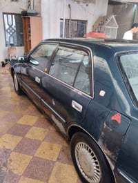 زيتوني • كفالة • البصرة