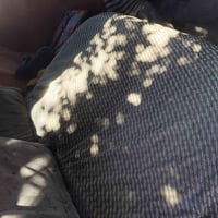 كيه بستا رقم الماني سياره ربع مامطلوبه مصفره هيئه وغرامات سعر 19 وبيه ...