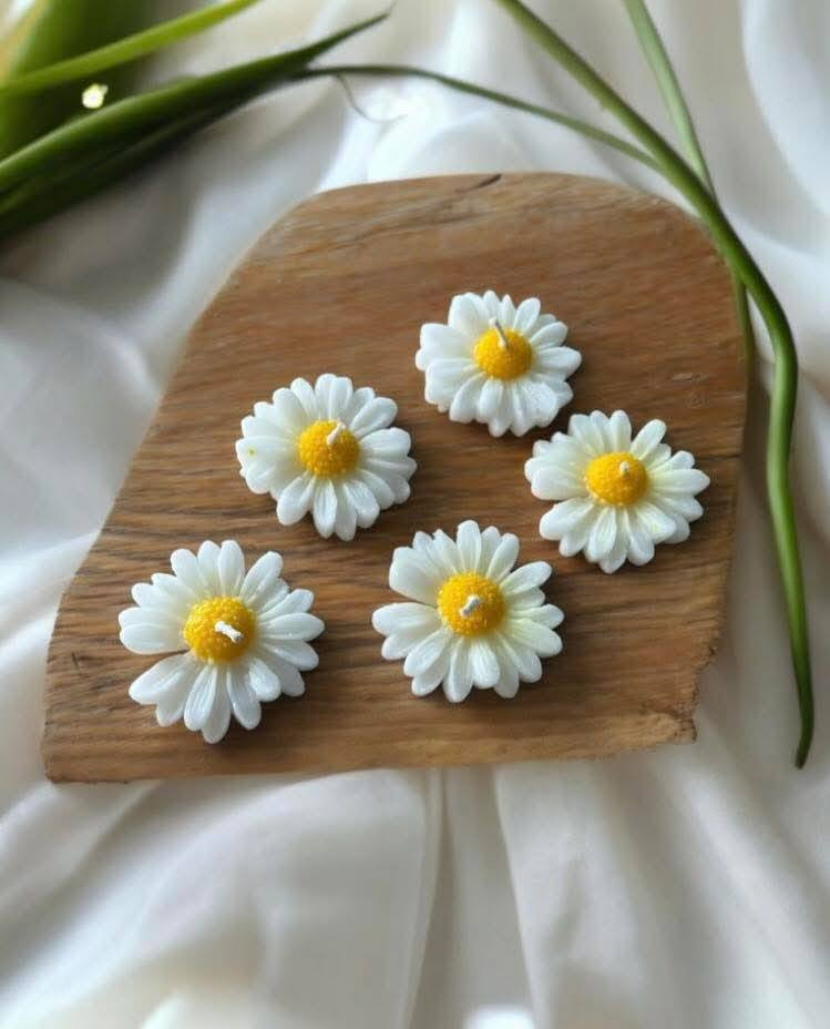 #شموع_عطرية
#شموع
#شموع_هاند_ميد
#شموع_ديكور
#شموع_معطرة
#شموع_صويا
#شموع_فاخرة
#شموع_ريزين
#كاندل
#كاندل_آرت
#شموع_مميزة
#شموع_ملونة
#شموع_طبيعية
#ديكور
#هاند_ميد
#فن_الشموع
#شموع_رومانسية
#شموع_مناسبات
#شموع_مودرن
#شموع_عطر
#soycandles
#candles
#scentedcandles
#handmadecandles
#homedecor
#candlelover
#candleart
#giftideas
#resinart


**إذا كنت صاحب هذا الإعلان وتريد حذفه لأي سبب، رجاءا أرسل رسالة إلى الدعم الفني**
