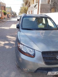 ٢٠٠٨ • وارد مريكي • مصبوغه جماليه