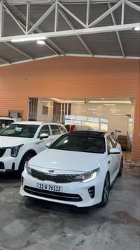 اوبتيما • ٢٠١٦ • بابل الحلة