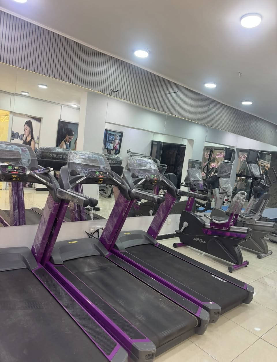 مسويلكم عرض اشتراك شهري 35 مع تنضيف قدم مجاناً❤️❤️❤️❤️


**إذا كنت صاحب هذا الإعلان وتريد حذفه لأي سبب، رجاءا أرسل رسالة إلى الدعم الفني**