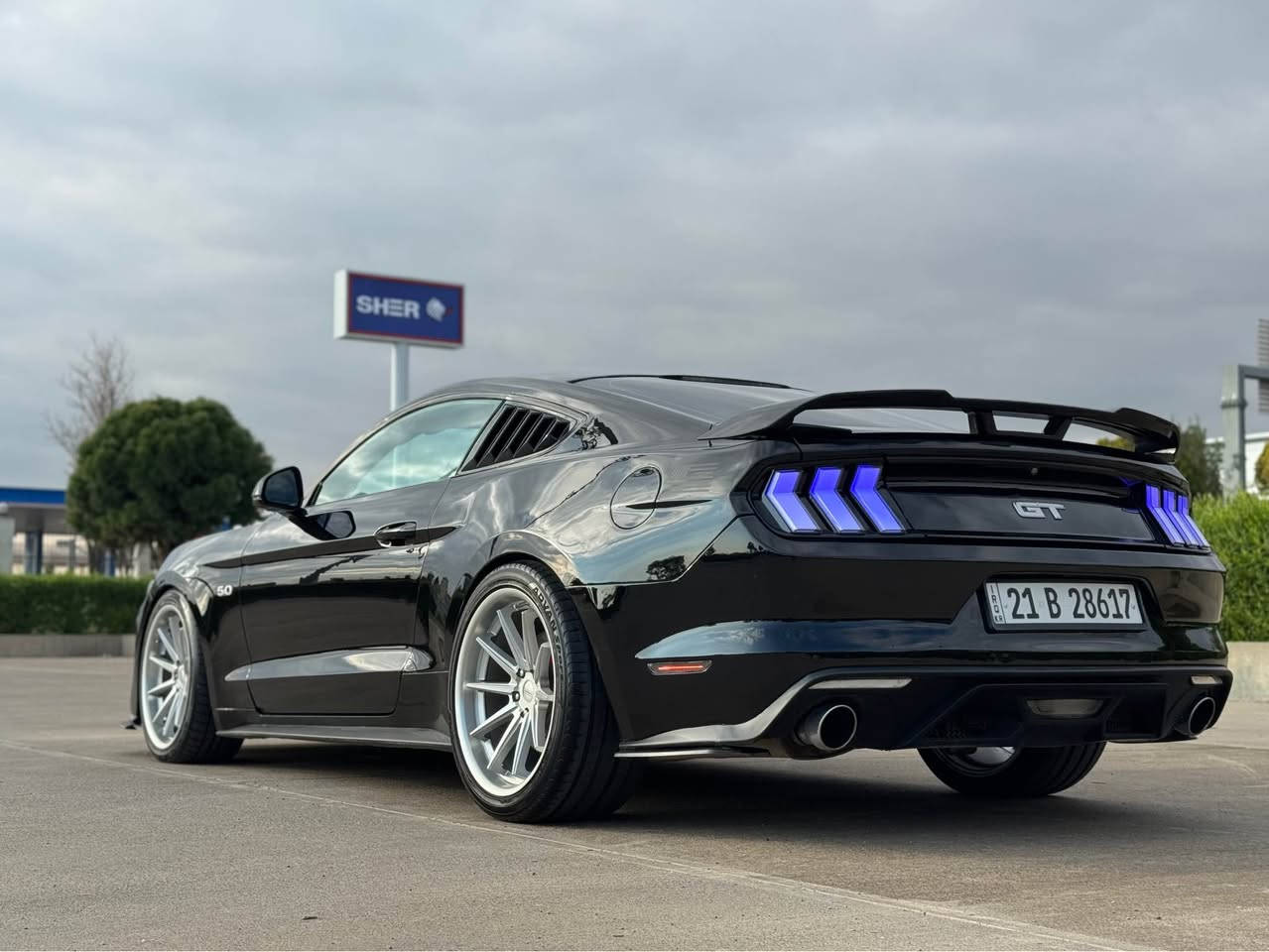 ‎موستنك جى تى موديل ٢٠١٥ گير اوتو  وارد خليجى زيرو شركة نيفا

‎ حجم المكينة ٨ سلندر ٥٠٠٠

‎داخلة عراق كلين واكعة من الناقلة و مصبوغ عام بجم كبس بدون ايرباك صور الحادث موجود
 

‎ماشى ٨٢ الف مايل مكينة و گير شرط مامفتوحات

‎سيارة كلش حلوه و بدون نواقص ✅

السيارة محدثة بالكامل شكل ٢٠٢٤ ماعدا الغرفة 

‎سنوية جديدة لحد  ٢٠٢٨ رقم سليمانية 

‎صدر جديد تبريد ثلج
 
‎سعر ١٤٩ و مجال بسيط
 
‎مكان سيارة اربيل

‎مع احترامي للجميع خاص مقفل لان مكلف بالنشر رقم صاحب السياره موجود
‎وتس اب *********** أربيل, العراق
