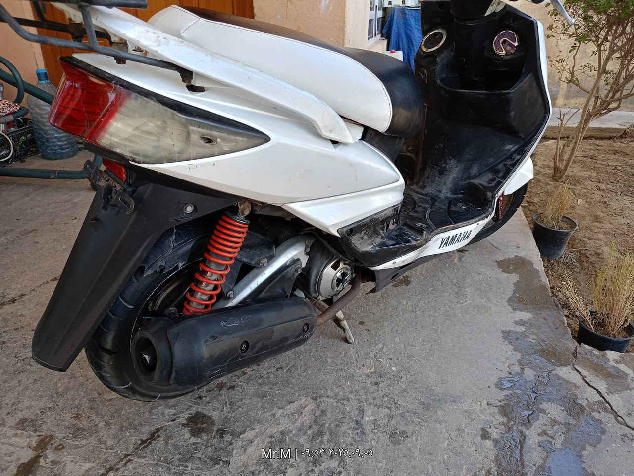 سكنس كابريتر مكانها الصويره سعر 450


**إذا كنت صاحب هذا الإعلان وتريد حذفه لأي سبب، رجاءا أرسل رسالة إلى الدعم الفني**