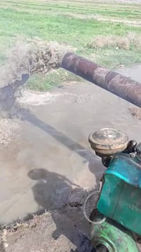 ماطور • انيل • ناصرية قلعه سكر