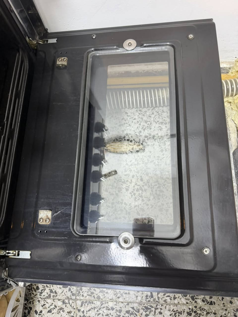 السلام عليكم للبيع طباخ فريش 4 عيون نظيف السعر 150 وبي مجال بسيط


**إذا كنت صاحب هذا الإعلان وتريد حذفه لأي سبب، رجاءا أرسل رسالة إلى الدعم الفني**