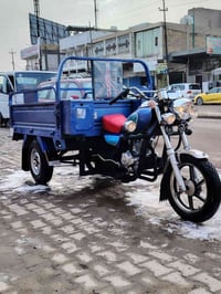 ستوته • موديل 2019 • أوراق أصلية