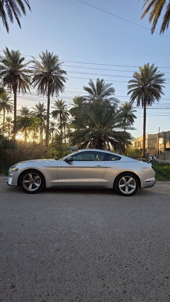 فورد موستنك 2018  ب120 وبيها مجال بسيط محرك ايكو بوست 2.3 تيربو
الكير اوتو  10 نمر 
السياره ماشيه 54 ميل 
تشغيل عن بعد،شاشه جبيره سنك ٣،تدفئه تبريد،حساسات كامره،تحكمات ستيرن  
السياره بلادية كير مكينة مامفتوح وماعليها اي برمجة والشاشة مابيها اي كلوب 
حادث السيارة بامريكا جاملغ عكس السائق وربع البنيد وبالعراق صار بيها حادث الجاملغ الخلفي والباب تبدل نفس اللون
سنويه جديده تنتهي ب 2030 و هزة جديده تنتهي ب2026 شهر  9 يعني تتحول بدون متاخذ السيارة
حاظر للتحويل او وكالة
موقع السيارة بغداد
***********
*********** بغداد, العراق
