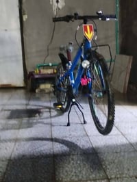 بايسكل • ياباني • حجم ٢٤