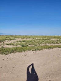 جزيرة تكريت شارع النفط • ٣٥٠ دونم • عقد زراعي