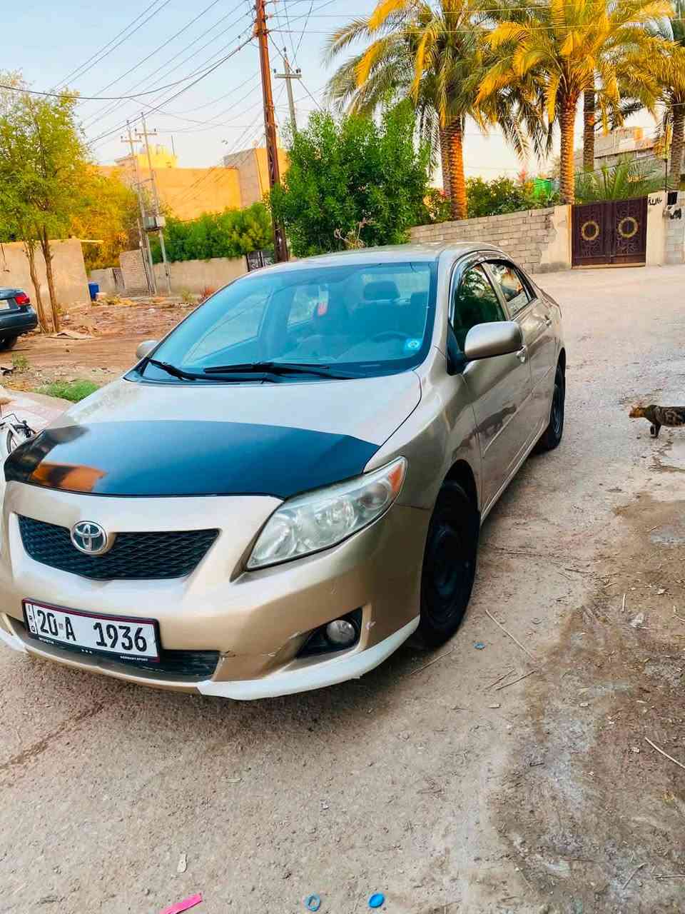 سلام عليكم
كورلا موديل 2009 

رقم مميز

رقم ديالى بسمي جديد

سونار مرفق بالمنشور

مكينة كير مكفولات

السعر 95 بيها مجال قليل ماكو هيج سعر تره بالعافيه ع ياخذه

مكان سياره ديالى الخالص 

***********
