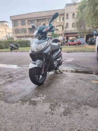 سكنس فحل • نوزل • ٢٠١٠