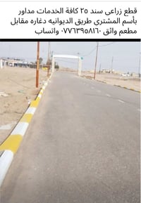 ٣ قطع متجاورات • ٢٠٠م • سند ٢٥