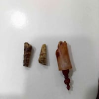 حجار • للبيع • ديكور