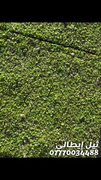 ثيل إيطالي درجه اولى 07770034488