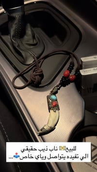 ناب ذيب • حقيقي • بادية السماوه