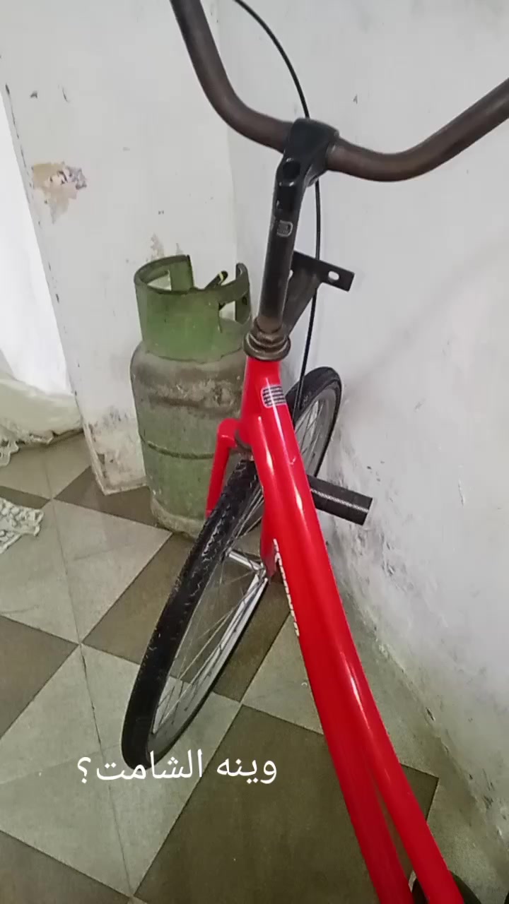 بايسكل شركة coconeu موديل 2015 نضافته 90 بالميه سعره 140وبي مجال رقمي***********
