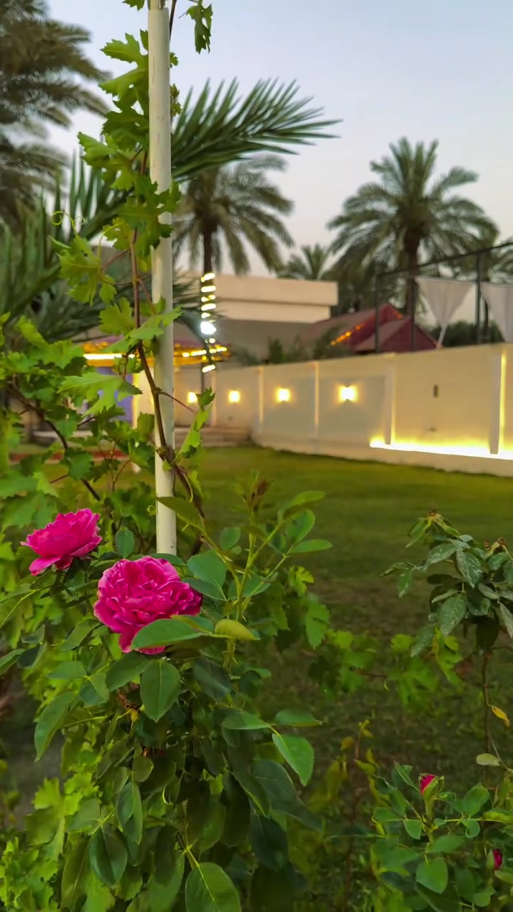 أهلاً وسهلاً بكم  
مزرعة جنة بغداد للإيجار اليومي 🏡🌺  
🔹 نظام الشفتات:  
صباحي: 10 ص – 6 م  
مسائي: 8 م – 7 ص  
يوم كامل: 10 ص – 7 ص  
📞 للحجز والاستفسار:  
*********** / واتساب  
*********** / واتساب  
📍 بغداد – الدورة – البوعيثة
